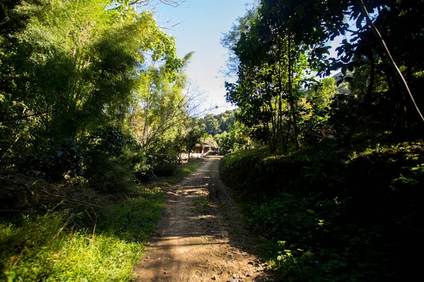 치앙마이의 서쪽에 유기농 — 스톡 사진