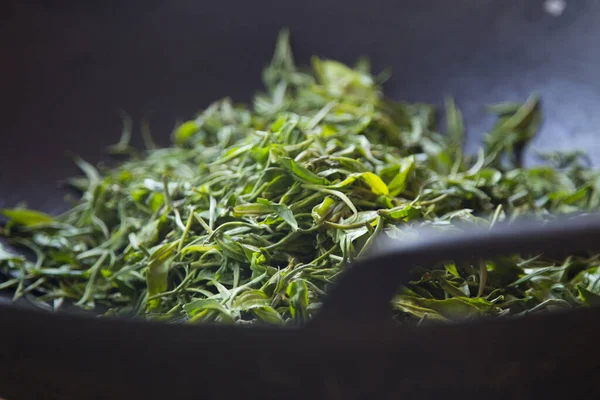 Mulher Que Seca Folhas Chá Verde Uma Plantação Chá Verde — Fotografia de Stock