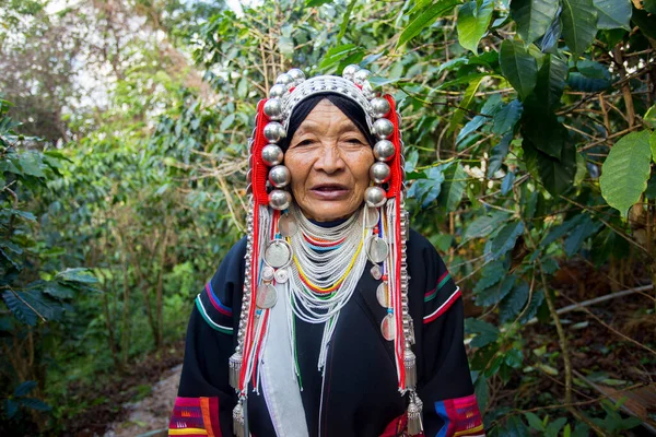 Chiang Mai, Tayland; 1 Ocak 2023: Tayland 'ın kuzeyindeki yerli Akha kabilesinden yaşlı bir kadın organik kahve tarlasında.
