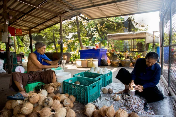 Samut Songkhram Tailândia Janeiro 2023 Duas Pessoas Trabalhando Uma Plantação — Fotografia de Stock