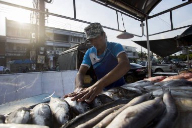 Krabi, Tayland; 1 Ocak 2023: Yengeç taze balık pazarında satıcı ve alıcılar.