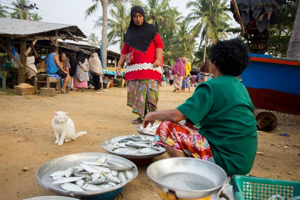 Sichon Thailand Januari 2023 Säljare Och Köpare Fiskmarknaden Vid Stranden — Stockfoto