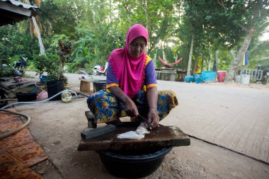 Koh Yao, Tayland; 1 Ocak 2023: Bir balıkçı köyünde mürekkep balığını temizleyip kurutan kadın.