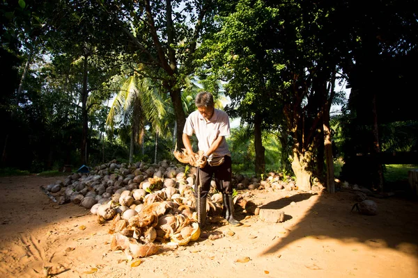 Koh Yao Thailand 1St January 2023 Farmer Feeding His Goats — Stock Photo, Image