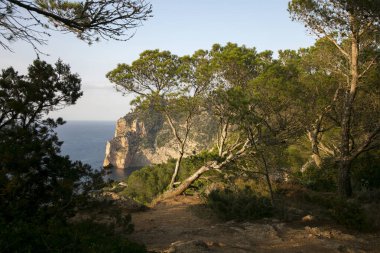 Santa Agnes de Corona 'daki adanın kuzeyindeki kayalıklardan deniz manzarası ve Ibiza' lı Ses Margalides