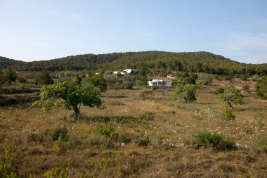 Adanın kuzey kesiminde doğayla çevrili İbiza adasındaki beyaz kır evi..