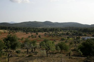 İbiza adasının kuzey kesimindeki doğa ve ağaçların manzarası.