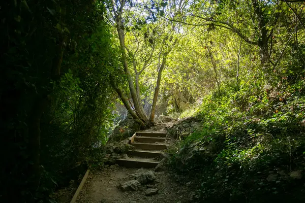 Ruta de las pasarelas, Alquzar. Nehirden geçen güzel bir yol. Metal geçitler ve doğa dağ boyunca ilerliyor..