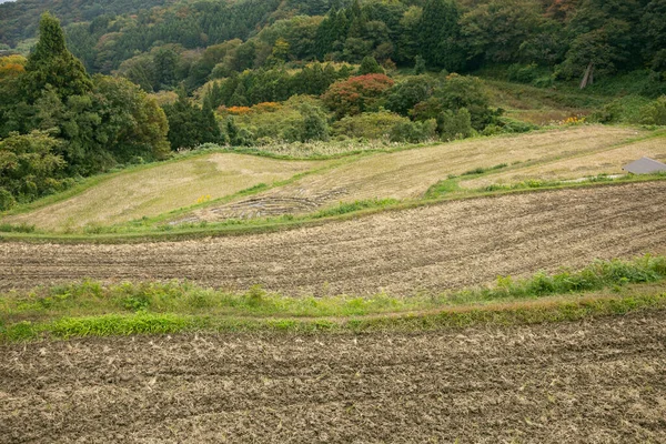 Tarasy Ryżowe Iwakubi Wyspa Sado Prefektura Niigata — Zdjęcie stockowe