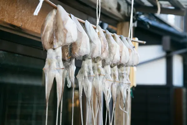 Japonya Sado Adası Ogi Bir Balık Dükkanında Asılı Mürekkep Balıkları — Stok fotoğraf