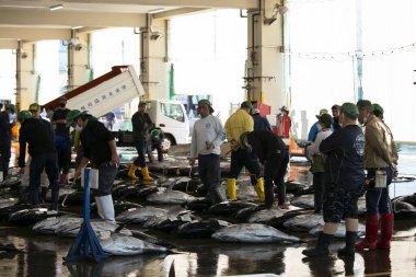 Nachikatsuura, Japonya; 1 Ekim 2023: Katsuura Balık Limanı 'ndaki balıkçılar ve alıcılar.