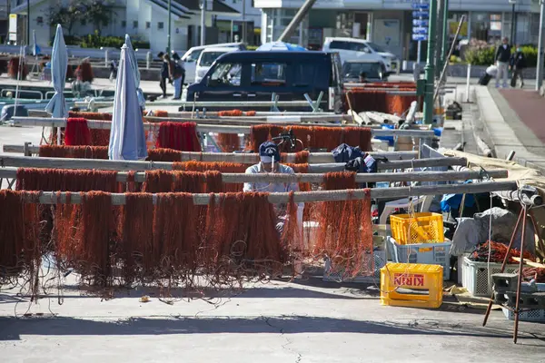 Nachikatsuura Japonya Ekim 2023 Wakayama Daki Katsuura Limanı Nda Balıkçılar — Stok fotoğraf