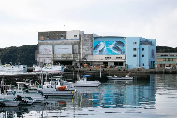Nachikatsuura Japonia Października 2023 Główny Port Rybacki Miasta Katsuura — Zdjęcie stockowe