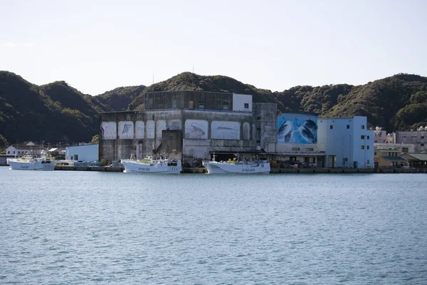 Nachikatsuura Japan Oktober 2023 Katsuura Der Wichtigste Fischereihafen Der Stadt — Stockfoto