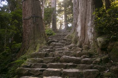 Efsanevi Kumano Kodo 'nun bir bölümü Japonya, Wakayama' daki taş kaldırım taşları boyunca ilerliyor..