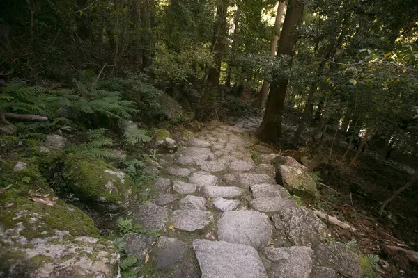 Sección Legendaria Ruta Kumano Kodo Por Adoquines Piedra Wakayama Japón — Foto de Stock