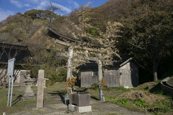 Torii Grind Framför Helgedom Sado Island Niigata Japan — Stockfoto