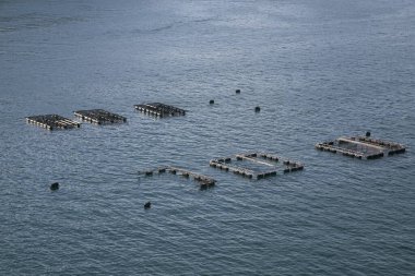 Kyoto 'nun kuzeyindeki güzel balıkçı kasabası Ine' de Ine Körfezi 'nde balık çiftlikleri bulunmaktadır..