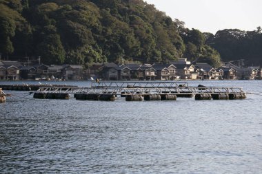 Kyoto 'nun kuzeyindeki güzel balıkçı kasabası Ine' de Ine Körfezi 'nde balık çiftlikleri bulunmaktadır..