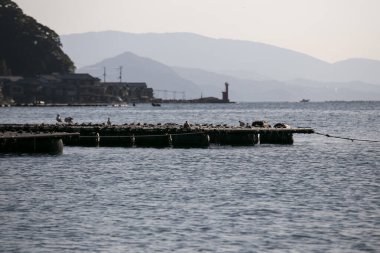 Kyoto 'nun kuzeyindeki güzel balıkçı kasabası Ine' de Ine Körfezi 'nde balık çiftlikleri bulunmaktadır..