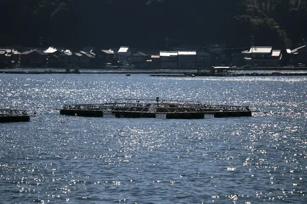 位于京都北部美丽的Ine渔村Ine湾的养鱼场 — 图库照片