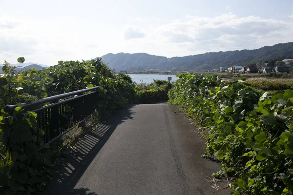 Ścieżka Rowerowa Wzdłuż Wybrzeża Miyazu Północy Kioto Japonii — Zdjęcie stockowe