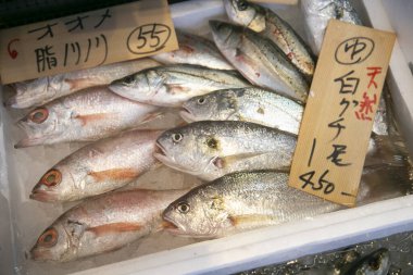 Fukuoka, Japonya; 1 Ekim 2023: Yanagawa 'da bir restoran ve balık dükkanının iç görünümü.