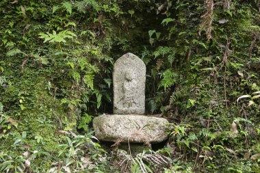 Japonya 'nın Wakayama bölgesindeki bir Japon tapınağında taş yontulmuş..