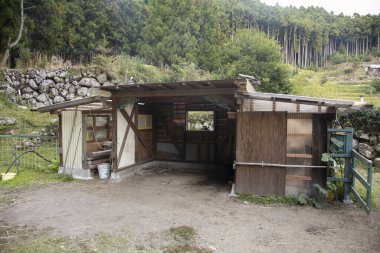 Japonya 'da bir çiftlikteki ahşap hayvan ahırı..