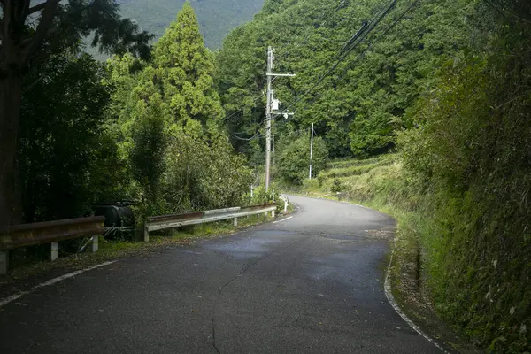 Bochtige Wegen Bergen Van Het Wakayama Schiereiland Japan — Stockfoto