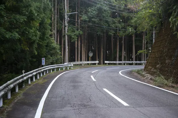 Drumuri Întortocheate Munții Din Peninsula Wakayama Din Japonia — Fotografie, imagine de stoc