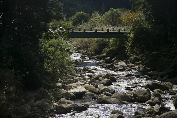 Japonya 'da Wakayama' nın doğasının ve dağlarının ortasındaki güzel nehir..