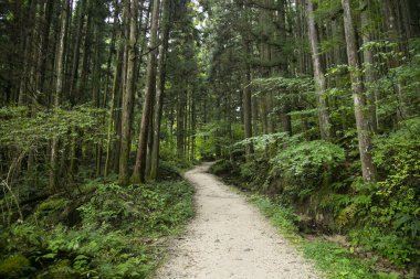 Japonya 'nın Kiso Vadisi' nde Tsumago ve Magome arasındaki Nakasendo patikasını takip ederek yürüyüş yolunda yürüyorum..