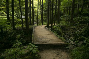 Japonya 'nın Kiso Vadisi' nde Tsumago ve Magome arasındaki Nakasendo patikasını takip ederek yürüyüş yolunda yürüyorum..