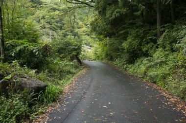 Japonya 'nın Kiso Vadisi' nde Tsumago ve Magome arasındaki Nakasendo patikasını takip ederek yürüyüş yolunda yürüyorum..