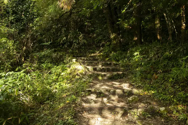 Wandelen Wandelweg Langs Nakasendo Trail Tussen Tsumago Magome Kiso Valley — Stockfoto