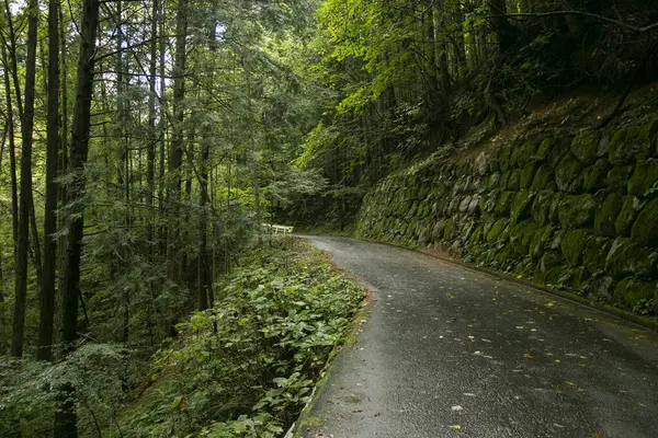 Berjalan Jalan Hiking Mengikuti Jejak Nakasendo Antara Tsumago Dan Magome — Stok Foto