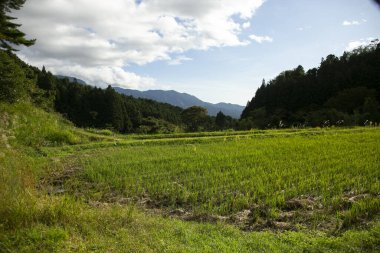 Nakasendo yolunun yanındaki Kiso Vadisi 'nde pirinç tarlaları ve Japonya' da Magome Juku..