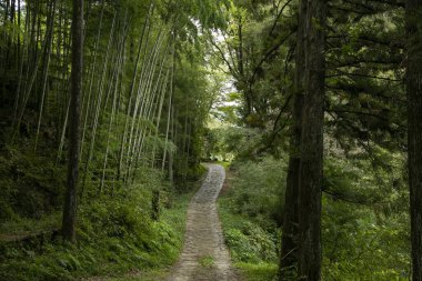 Japonya 'nın Kiso Vadisi' ndeki Tsumago ve Magome arasındaki Nakasendo patikasını takip ederek kaldırım taşı yolunda yürüyorum..