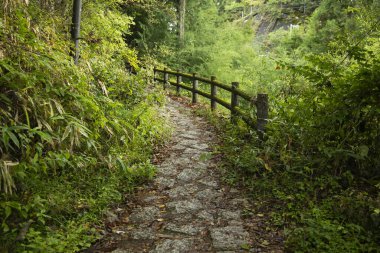 Japonya 'nın Kiso Vadisi' ndeki Tsumago ve Magome arasındaki Nakasendo patikasını takip ederek kaldırım taşı yolunda yürüyorum..