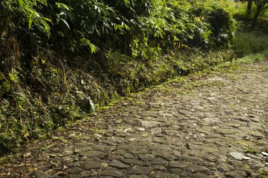 Japonya 'nın Kiso Vadisi' ndeki Tsumago ve Magome arasındaki Nakasendo patikasını takip ederek kaldırım taşı yolunda yürüyorum..