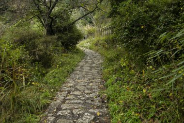 Japonya 'nın Kiso Vadisi' ndeki Tsumago ve Magome arasındaki Nakasendo patikasını takip ederek kaldırım taşı yolunda yürüyorum..