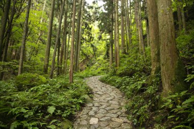 Japonya 'nın Kiso Vadisi' ndeki Tsumago ve Magome arasındaki Nakasendo patikasını takip ederek kaldırım taşı yolunda yürüyorum..