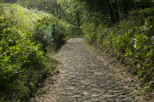 Japonya 'nın Kiso Vadisi' ndeki Tsumago ve Magome arasındaki Nakasendo patikasını takip ederek kaldırım taşı yolunda yürüyorum..