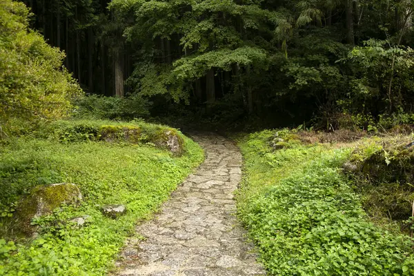 Japonya 'nın Kiso Vadisi' ndeki Tsumago ve Magome arasındaki Nakasendo patikasını takip ederek kaldırım taşı yolunda yürüyorum..