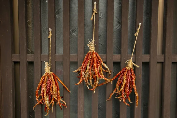 Dried Chillies Hanging Sun Street Magome Japan — Stock Photo, Image