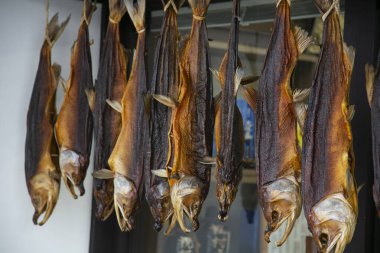 Geleneksel tuzlu somonlar Niigata 'nın Murakami şehrinde asılıyor..