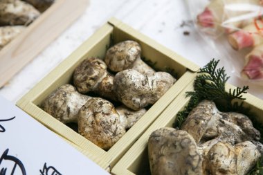 Japonya 'nın Tokyo kentindeki Tsukiji Dış Pazarı' ndaki bir gıda tezgahında Matsutake mantarları..