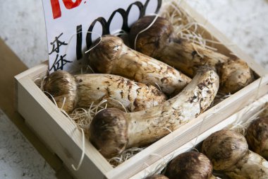 Japonya 'nın Tokyo kentindeki Tsukiji Dış Pazarı' ndaki bir gıda tezgahında Matsutake mantarları..