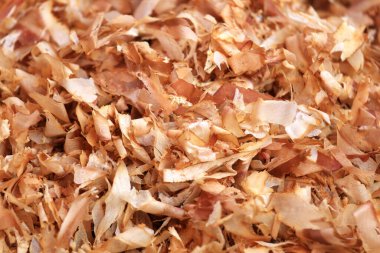 Katsuobushi kurutulmuş, mayalanmış ve füme Skipjack veya bonito ton balığından yapılan bir yemektir..